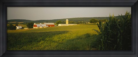 Framed Crop in a field, Frederick County, Virginia, USA Print