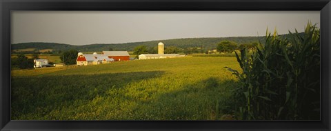 Framed Crop in a field, Frederick County, Virginia, USA Print