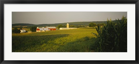 Framed Crop in a field, Frederick County, Virginia, USA Print