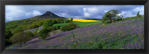 Framed Bluebell Flowers In A Field, Cleveland, North Yorkshire, England, United Kingdom Print