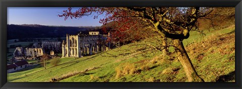 Framed Church On A Landscape, Rievaulx Abbey, North Yorkshire, England, United Kingdom Print