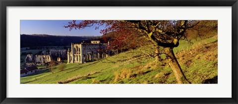 Framed Church On A Landscape, Rievaulx Abbey, North Yorkshire, England, United Kingdom Print