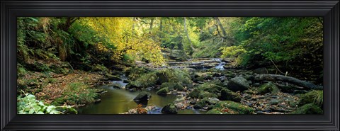 Framed Stream Flowing Through Forest, Eller Beck, England, United Kingdom Print