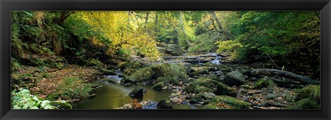 Framed Stream Flowing Through Forest, Eller Beck, England, United Kingdom Print
