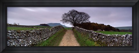 Framed Stone Walls Along A Path, Yorkshire Dales, England, United Kingdom Print