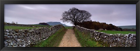 Framed Stone Walls Along A Path, Yorkshire Dales, England, United Kingdom Print