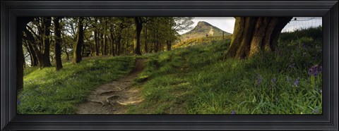 Framed Path Running Through A Forest, Newton Wood, Yorkshire, England, United Kingdom Print