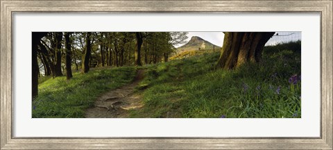 Framed Path Running Through A Forest, Newton Wood, Yorkshire, England, United Kingdom Print