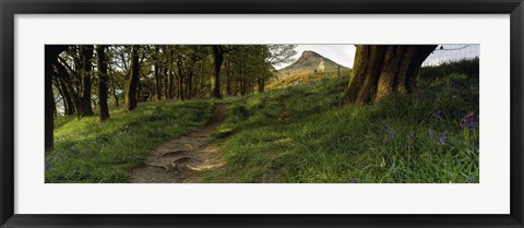 Framed Path Running Through A Forest, Newton Wood, Yorkshire, England, United Kingdom Print