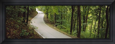 Framed Empty road running through a forest, Stuttgart, Baden-Wurttemberg, Germany Print