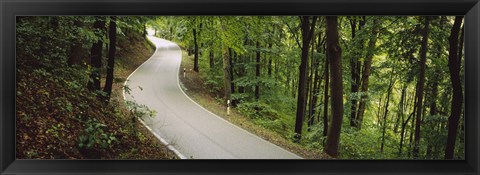 Framed Empty road running through a forest, Stuttgart, Baden-Wurttemberg, Germany Print