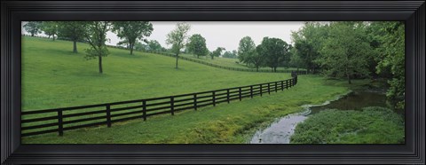 Framed Fence in a field, Woodford County, Kentucky, USA Print