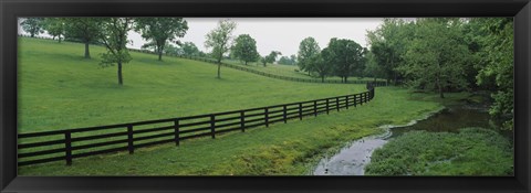 Framed Fence in a field, Woodford County, Kentucky, USA Print