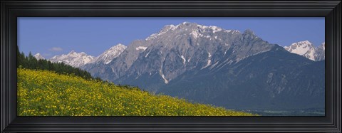 Framed High angle view of flowers on a landscape, Tirol, Austria Print