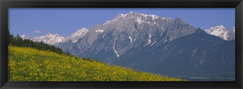 Framed High angle view of flowers on a landscape, Tirol, Austria Print