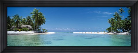 Framed Palm trees on the beach, Tikehau, French Polynesia Print