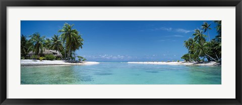Framed Palm trees on the beach, Tikehau, French Polynesia Print