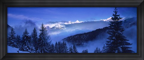 Framed Trees on a polar landscape, Simplon Pass, Switzerland Print