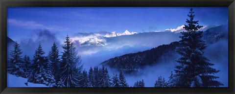 Framed Trees on a polar landscape, Simplon Pass, Switzerland Print
