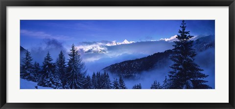 Framed Trees on a polar landscape, Simplon Pass, Switzerland Print