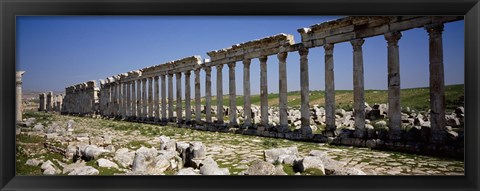 Framed Row of Columns, Cardo Maximus, Apamea, Syria Print