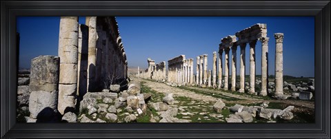 Framed Old ruins on a landscape, Cardo Maximus, Apamea, Syria Print