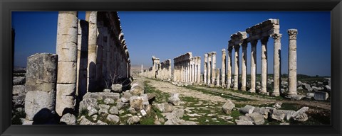 Framed Old ruins on a landscape, Cardo Maximus, Apamea, Syria Print