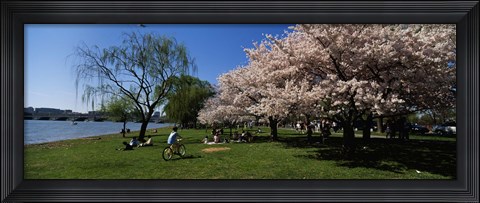 Framed Group of people in a garden, Cherry Blossom, Washington DC, USA Print