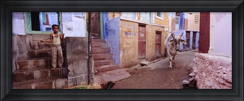 Framed Boy and a bull in front of building, Jodhpur, Rajasthan, India Print