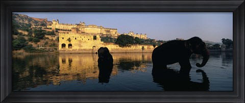 Framed Silhouette of two elephants in a river, Amber Fort, Jaipur, Rajasthan, India Print