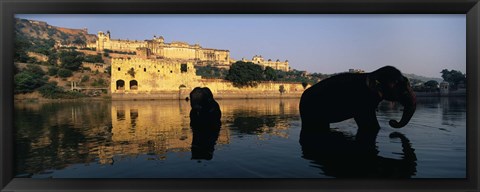 Framed Silhouette of two elephants in a river, Amber Fort, Jaipur, Rajasthan, India Print