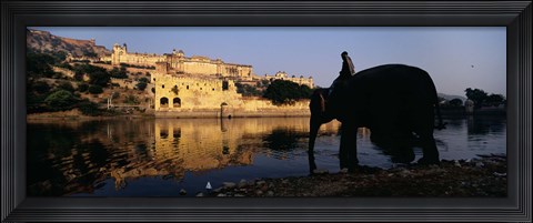 Framed Side profile of a man sitting on an elephant, Amber Fort, Jaipur, Rajasthan, India Print