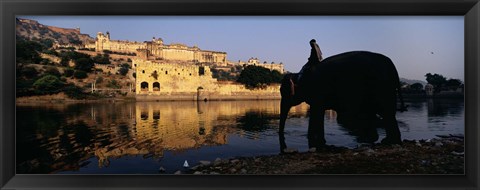 Framed Side profile of a man sitting on an elephant, Amber Fort, Jaipur, Rajasthan, India Print