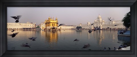 Framed Reflection of a temple in a lake, Golden Temple, Amritsar, Punjab, India Print