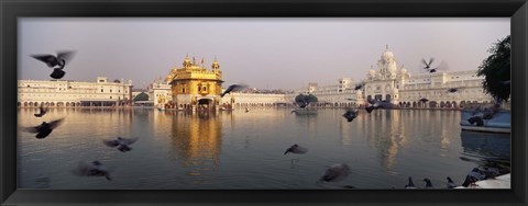 Framed Reflection of a temple in a lake, Golden Temple, Amritsar, Punjab, India Print