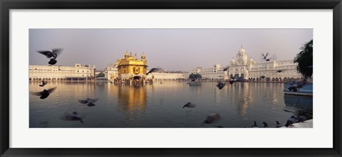 Framed Reflection of a temple in a lake, Golden Temple, Amritsar, Punjab, India Print