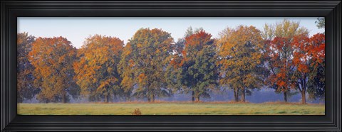 Framed Trees in a garden, South Bohemia, Czech Republic Print