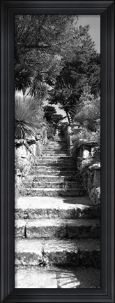 Framed Low angle view of steps in a garden, Neptune&#39;s Steps, Tresco Abbey Garden, Tresco, Isles Of Scilly, England Print