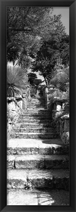 Framed Low angle view of steps in a garden, Neptune&#39;s Steps, Tresco Abbey Garden, Tresco, Isles Of Scilly, England Print