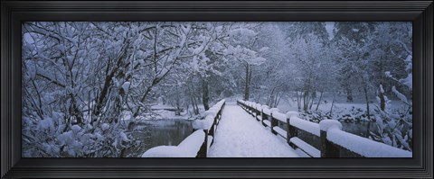 Framed Trees along a snow covered footbridge, Yosemite National Park, California, USA Print