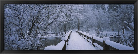 Framed Trees along a snow covered footbridge, Yosemite National Park, California, USA Print