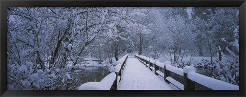 Framed Trees along a snow covered footbridge, Yosemite National Park, California, USA Print