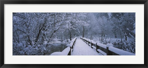 Framed Trees along a snow covered footbridge, Yosemite National Park, California, USA Print