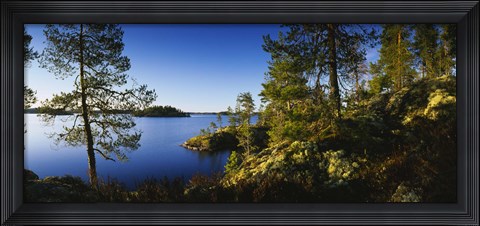 Framed Trees at the lakeside, Lake Saimaa, Puumala, Finland Print