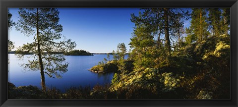 Framed Trees at the lakeside, Lake Saimaa, Puumala, Finland Print