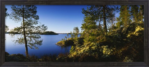 Framed Trees at the lakeside, Lake Saimaa, Puumala, Finland Print