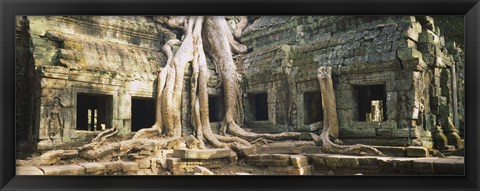 Framed Close up of Old ruins of a building, Angkor Wat, Cambodia Print