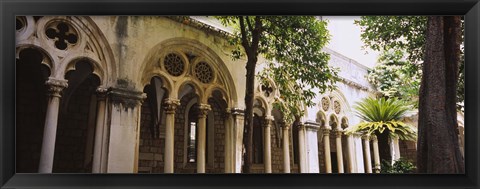 Framed Trees in front of a monastery, Dominican Monastery, Dubrovnik, Croatia Print