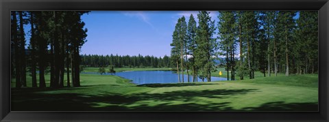 Framed Trees on a golf course, Edgewood Tahoe Golf Course, Stateline, Nevada, USA Print