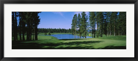 Framed Trees on a golf course, Edgewood Tahoe Golf Course, Stateline, Nevada, USA Print